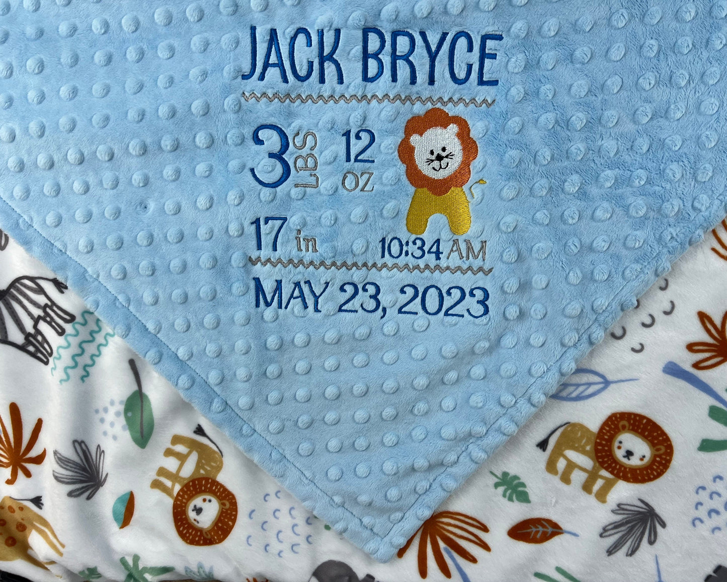 Personalized Baby Blanket, Blue Minky, Zoo Animals Nursery, Jungle Friends, Birth Stats and Lion, Custom Blanket, Baby Gift for Grandson