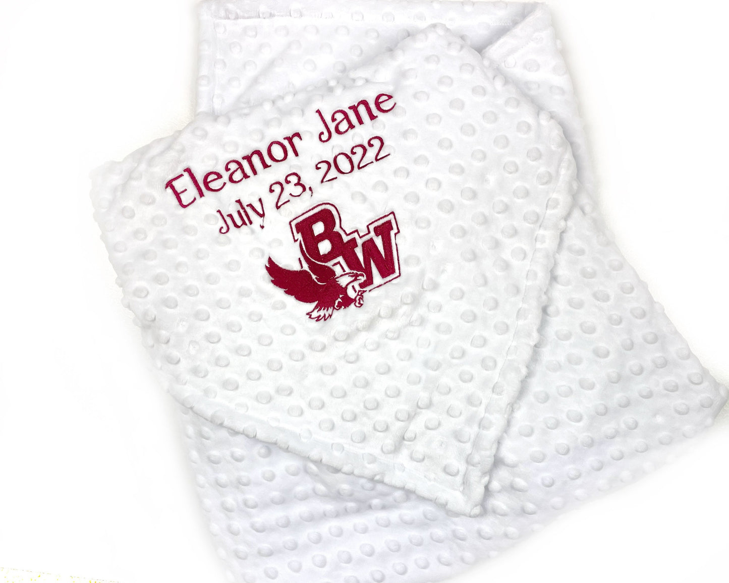 Minky Baby Blanket, Corporate Gift, Logo Blanket, Employee New Baby, Business Gift